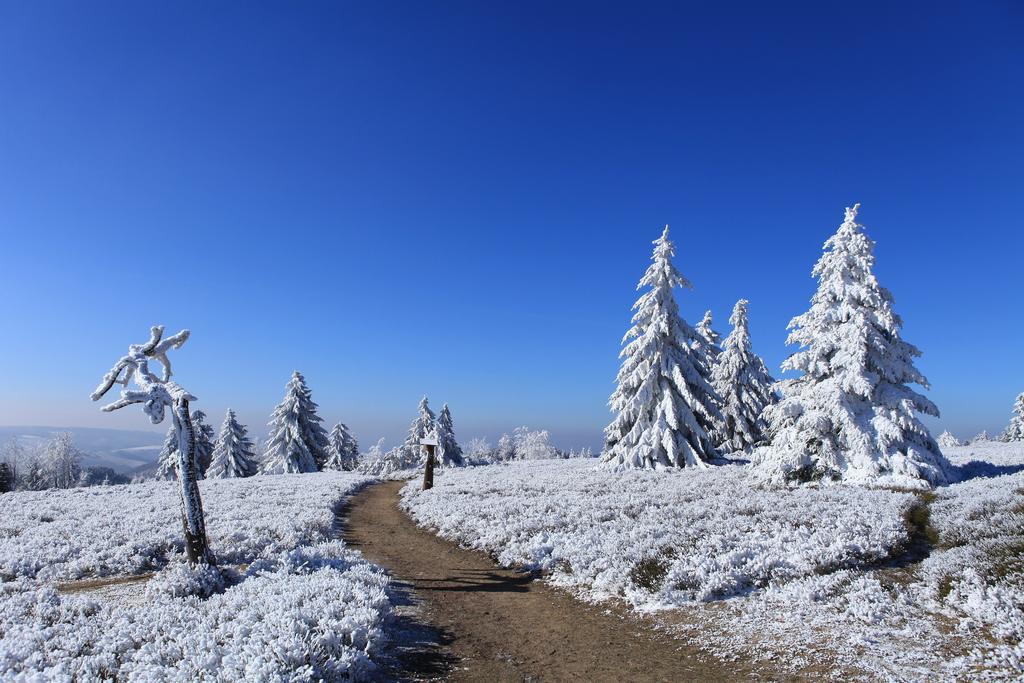 Hapimag Ferienwohnungen Winterberg Dış mekan fotoğraf
