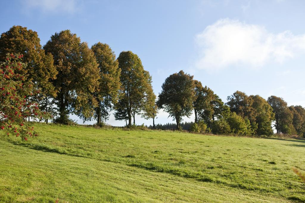 Hapimag Ferienwohnungen Winterberg Dış mekan fotoğraf